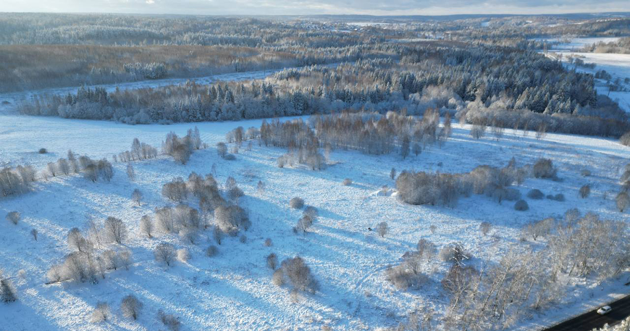 Фото 2 поселок Подъячево